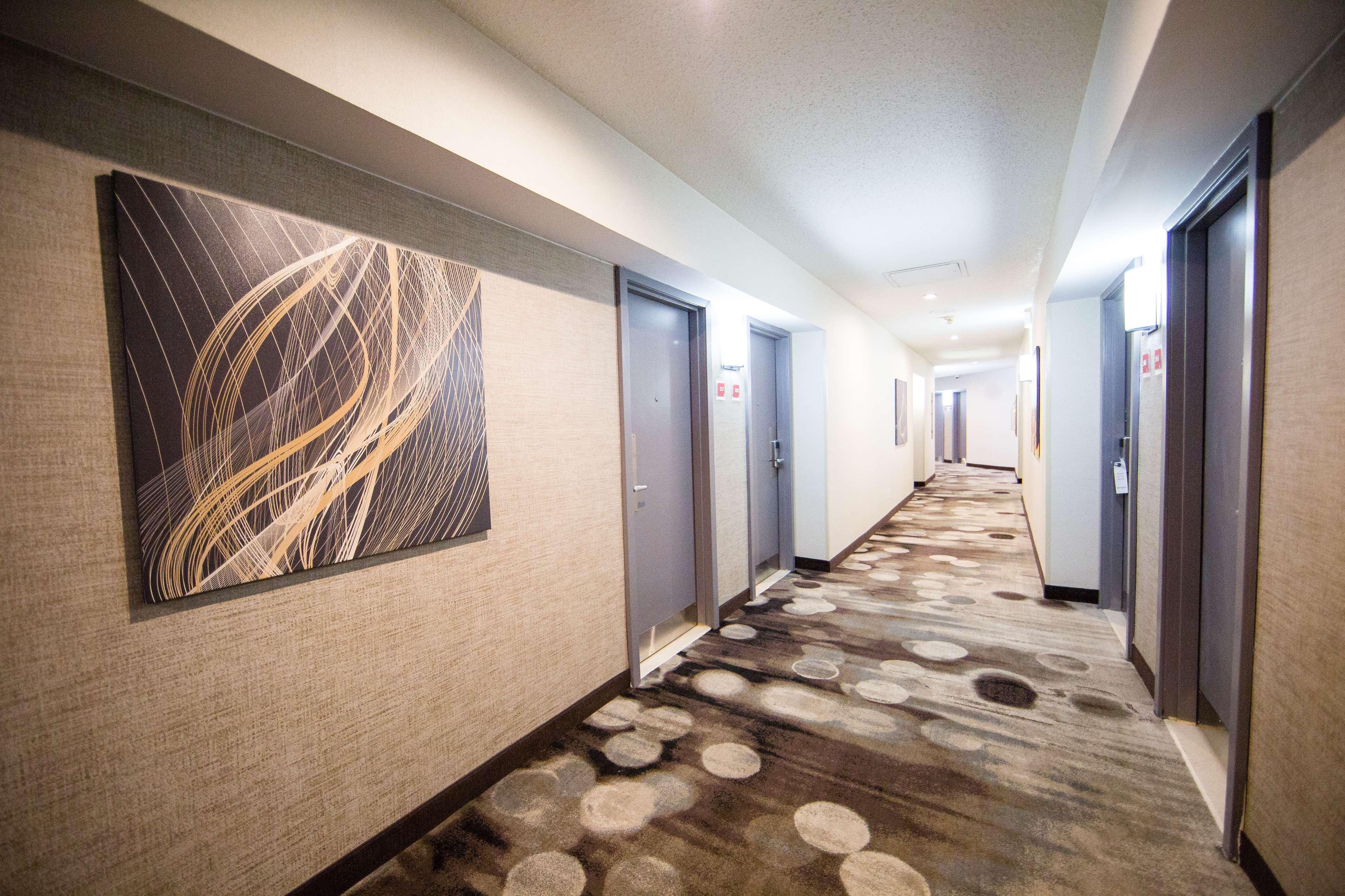 Best Western Plus Ottawa Kanata Hotel And Conference Centre Esterno foto
